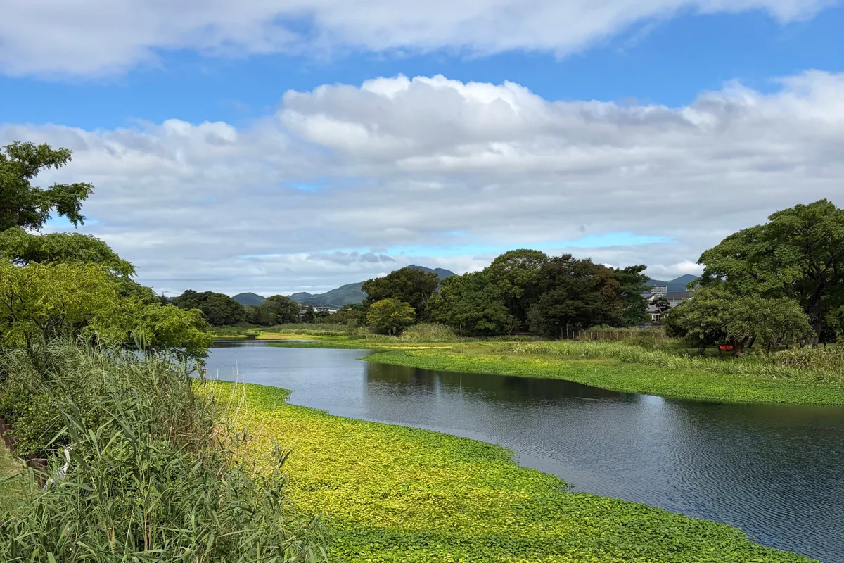 江津湖風景